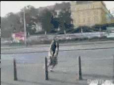 5Clgw.gif