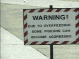 SoH3x.gif