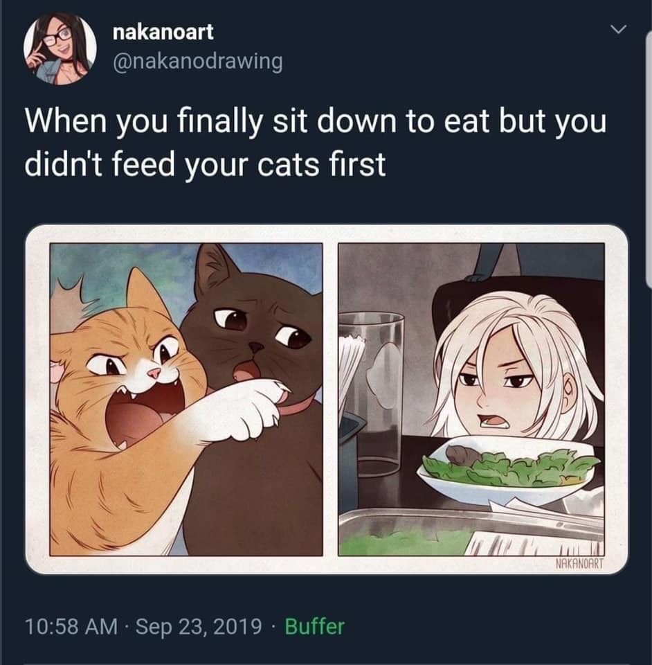 61w7hkY.jpg