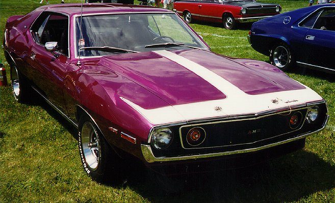 73_amx_wild_plum.jpg
