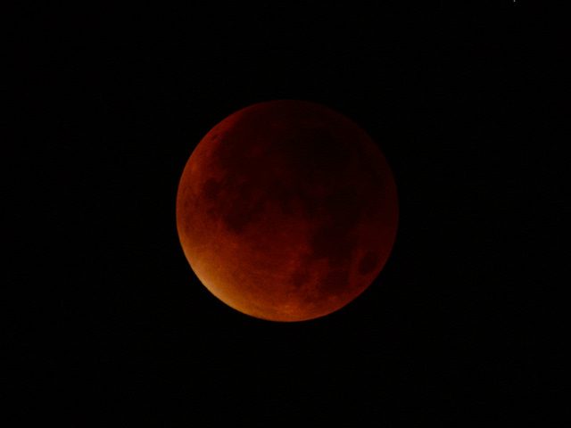 21155500733_c8e2e624c7_z.jpg