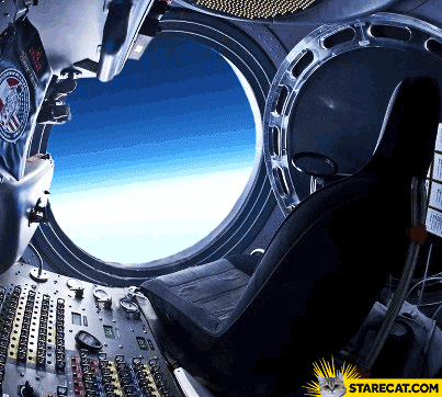 felix-baumgartners-cat-jump.gif