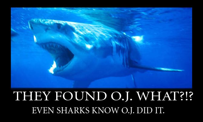 lol_sharks_8_by_badcop69.jpg