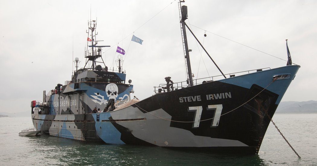 29seashepherd-facebookJumbo.jpg