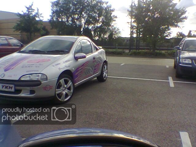 tigsstupidstickeredtigra2.jpg
