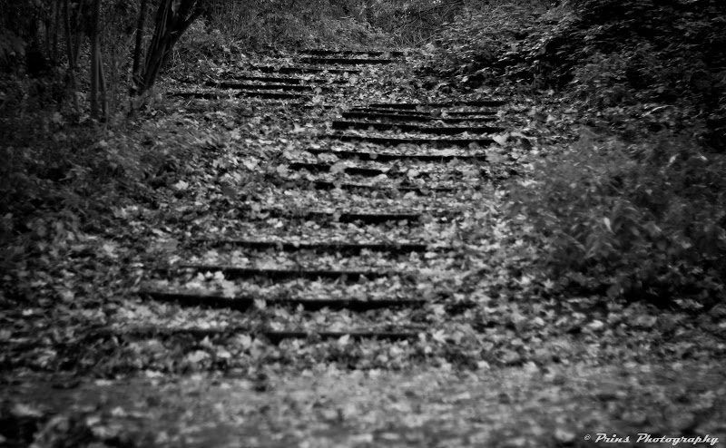 Steps.jpg