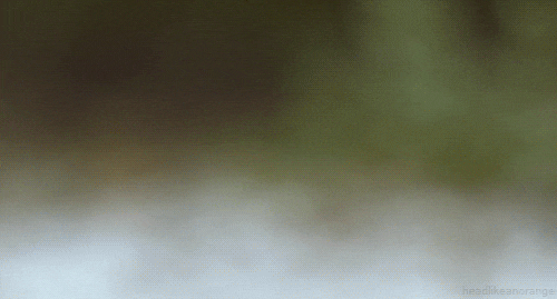 dhnBF3d.gif