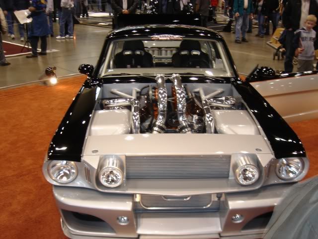 TTMustang.jpg