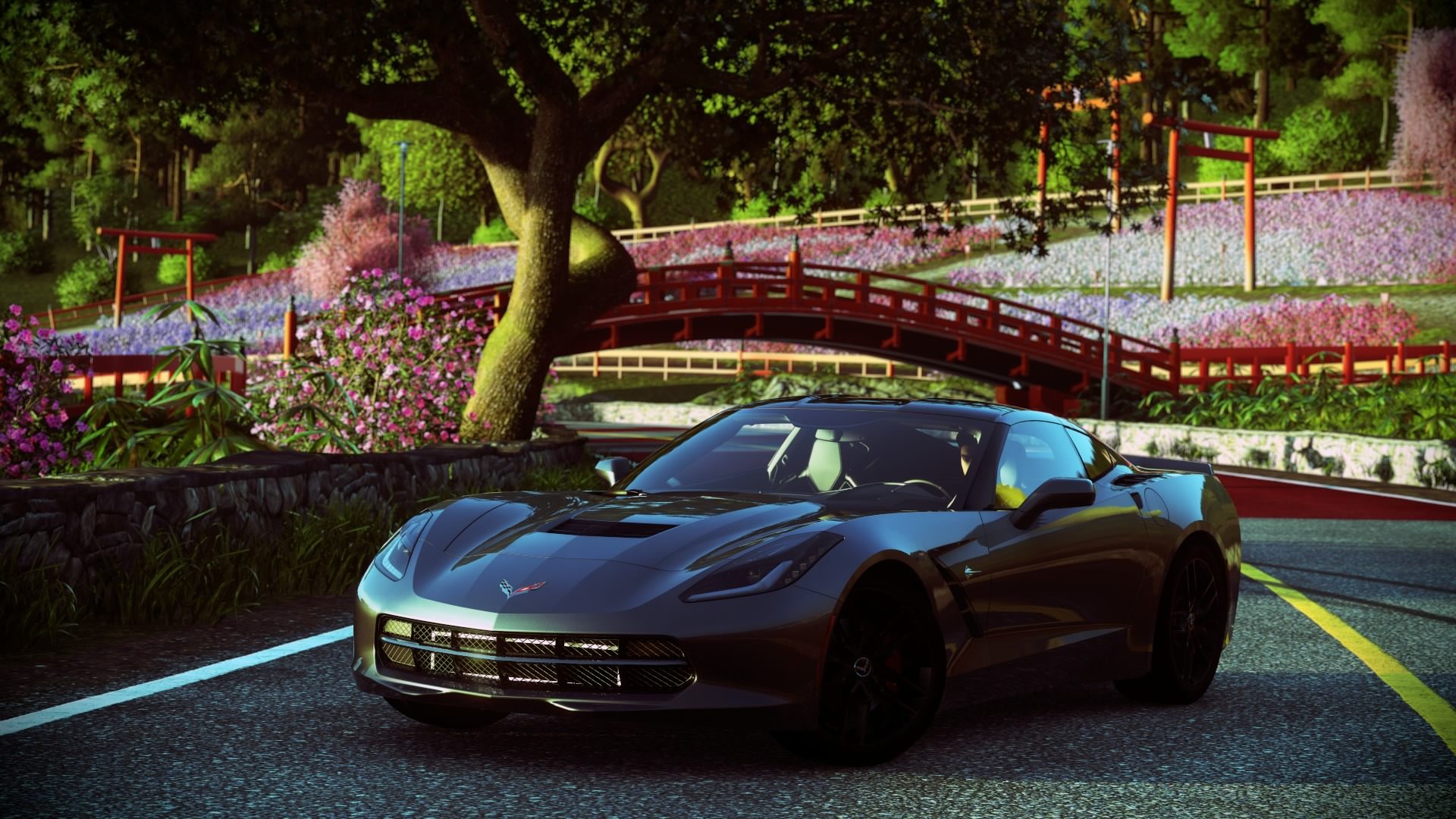 f40969ef1684a2f7.jpg