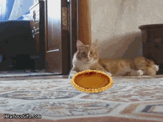 ZBiJZ.gif