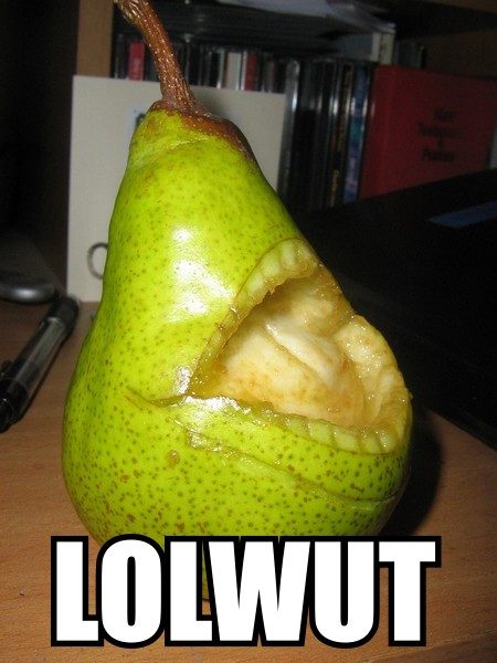 LOLWUT_by_smilie_terrorist.jpg