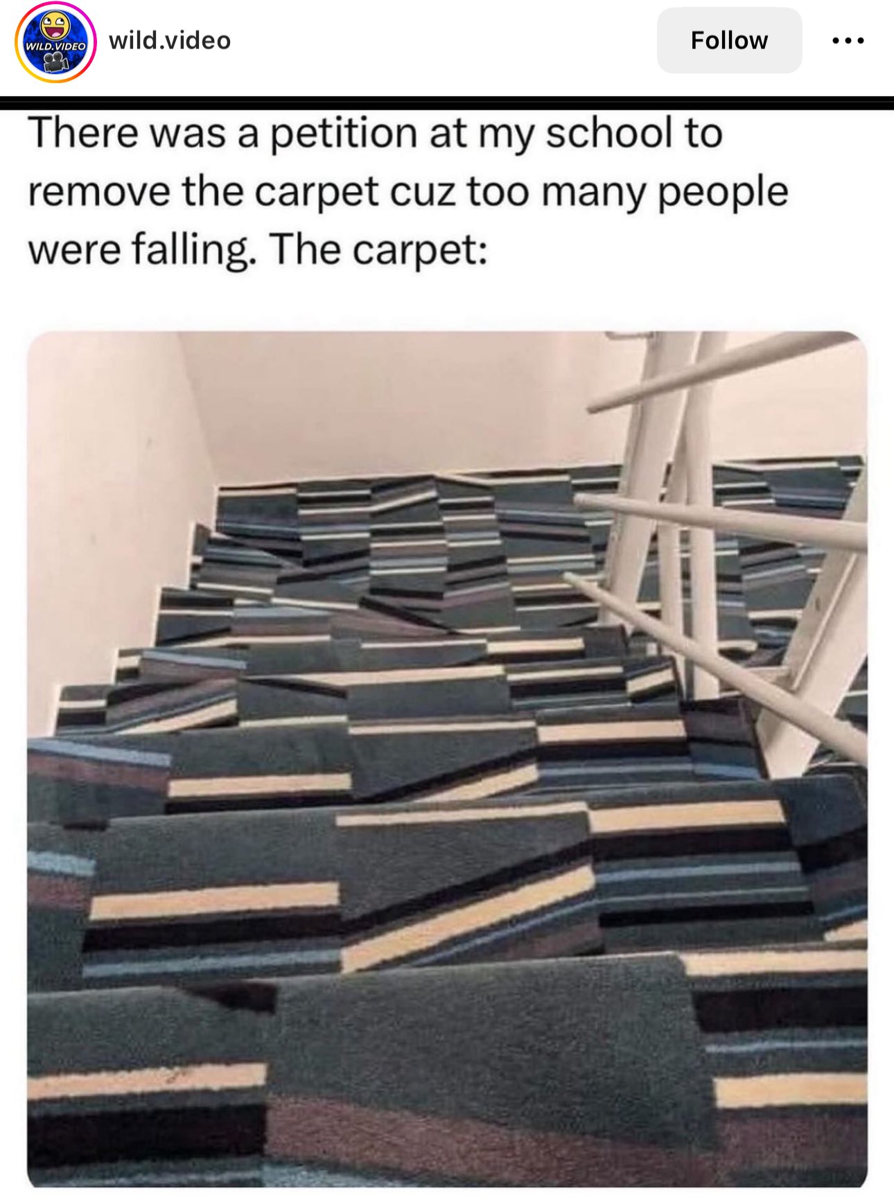 carpet.jpg