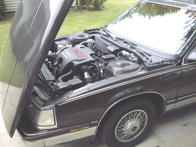 88PkAveL67d.jpg