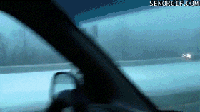 QFRNN.gif