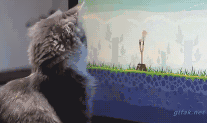 ZuFd40L.gif