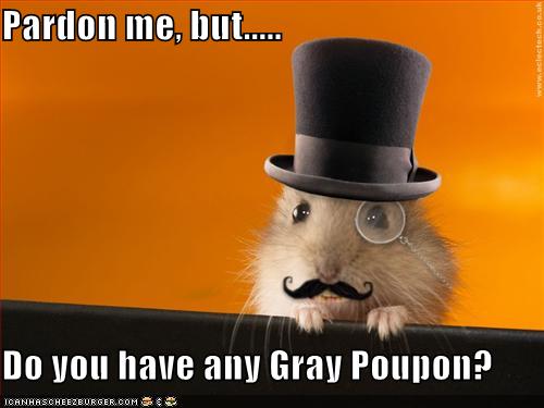 pardonmebut128566751244970686.jpg