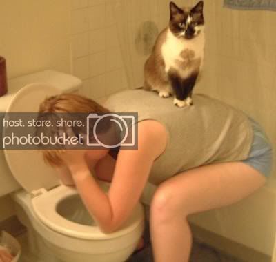 helpful_kitty.jpg
