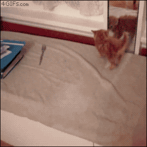 37.gif