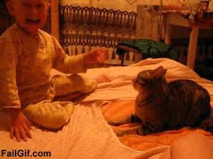 0cattakedown.gif