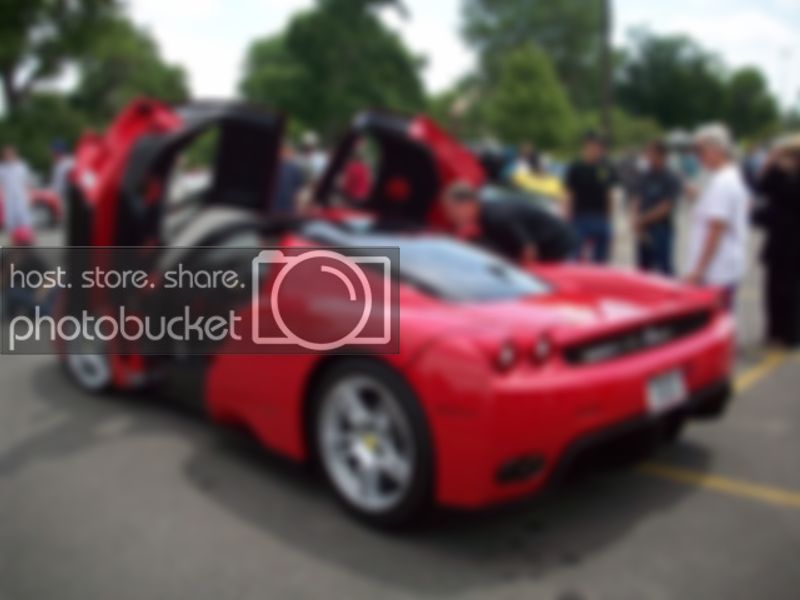 Enzo.jpg