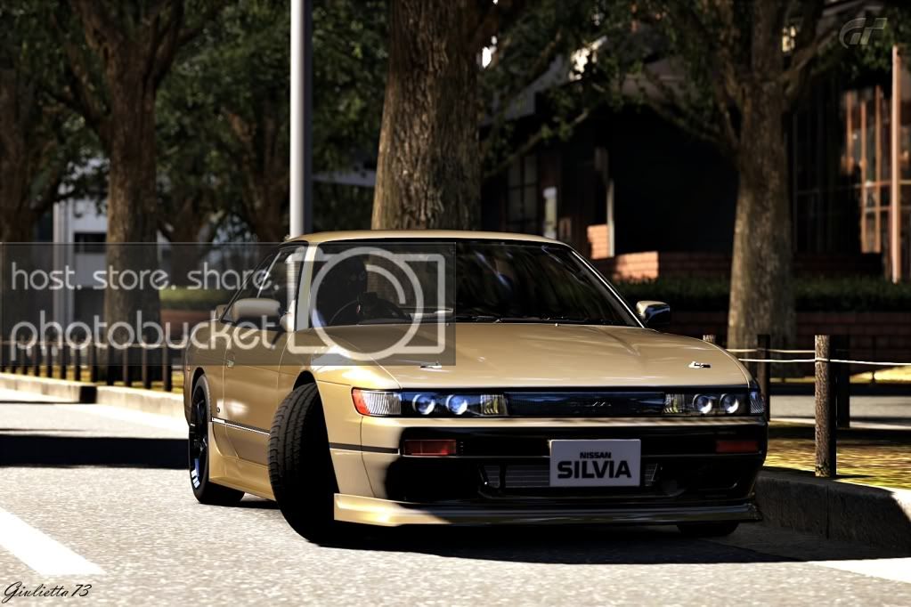 silvia05.jpg