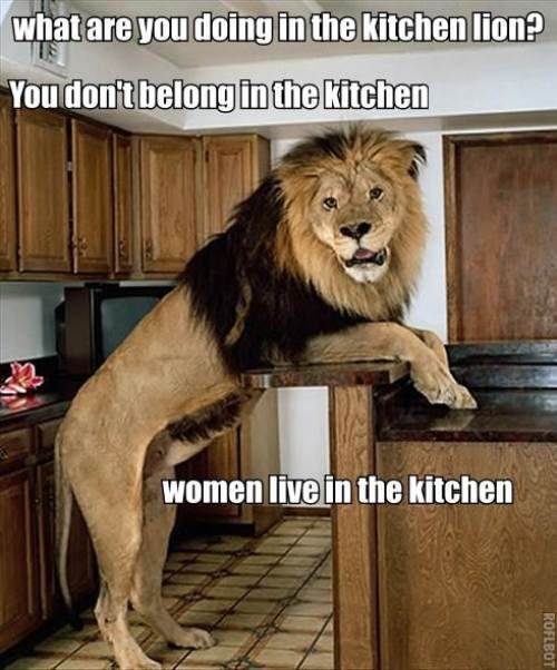 Lion_ccb55f_781528.jpg