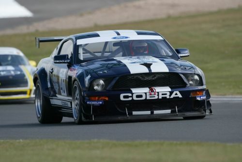 dedonker-cobra.jpg