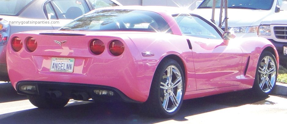 Angelyne-pink-corvette-ANGELNN-NGIP.jpg