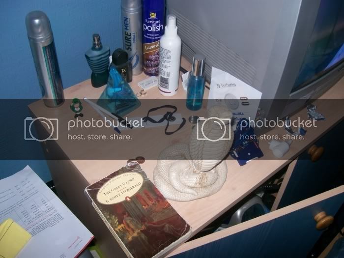 myroom.jpg