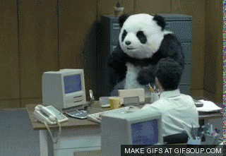 aiqfjmflqcttekcfxeaf.gif
