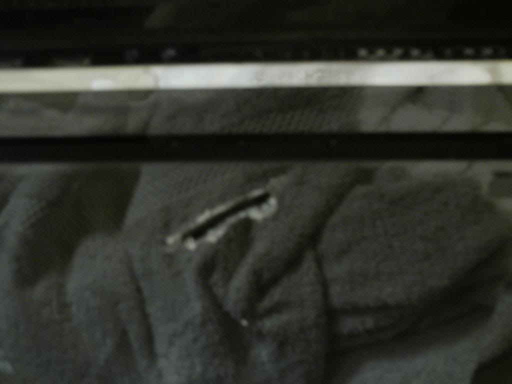 IMAG0335-1.jpg