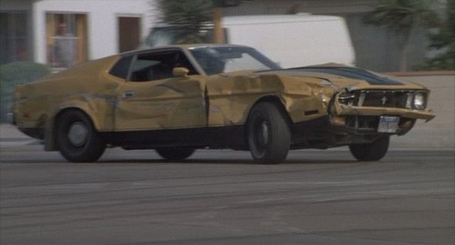 mustang1.jpg