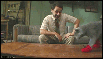 tk5Ge.gif