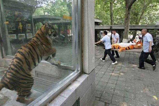 unexplainable-images-7.jpg