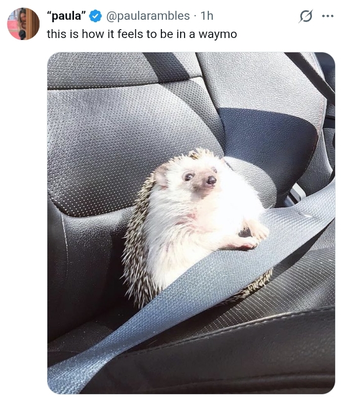 waymo.jpg