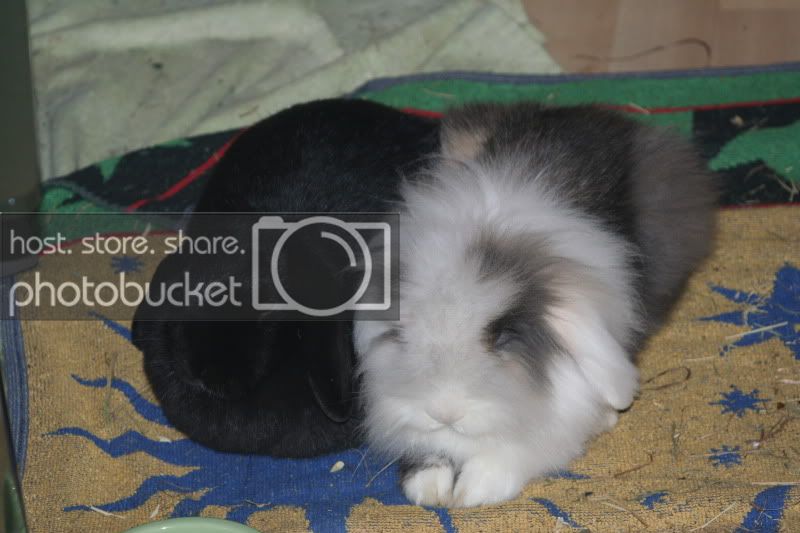 16-12-2010023.jpg