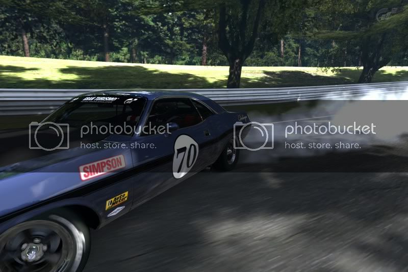 DeepForestRaceway_4.jpg