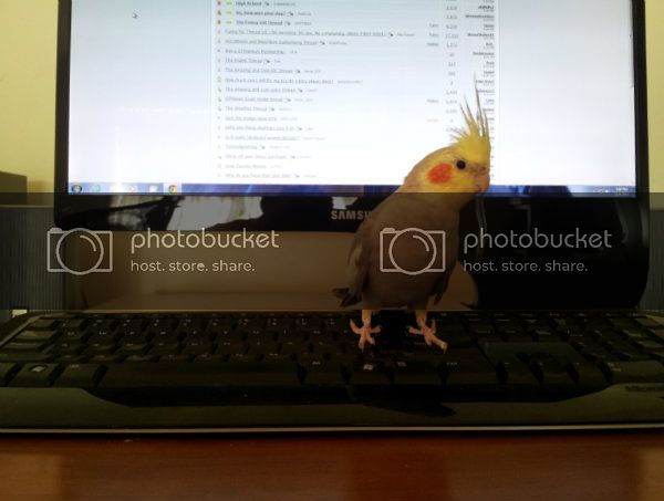 20121204_190038.jpg
