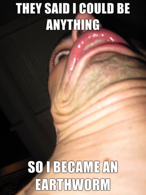 Could_Be_Anything.jpg