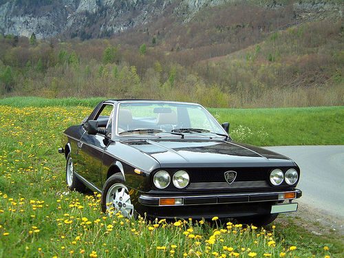 35968833_194fca9692.jpg