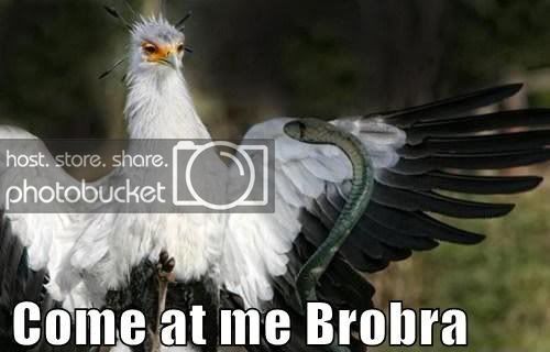 come-at-me-brobra.jpg
