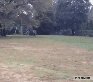 RTFajfl.gif