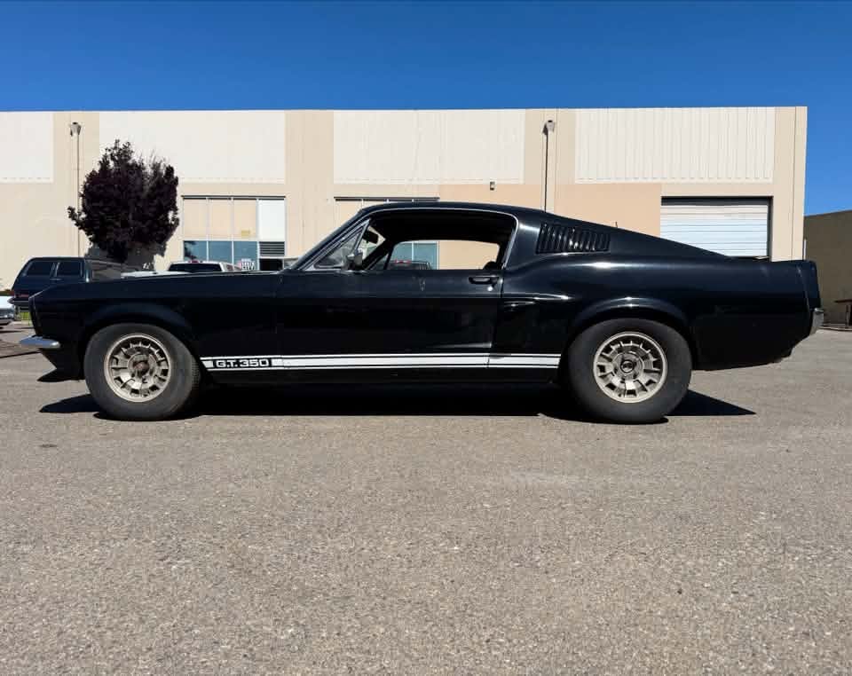 aspen-stang.jpg