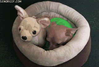 j5OOX.gif