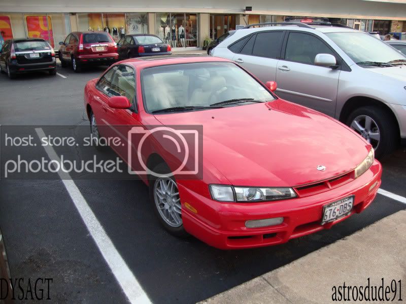 DSC01241gtp.jpg