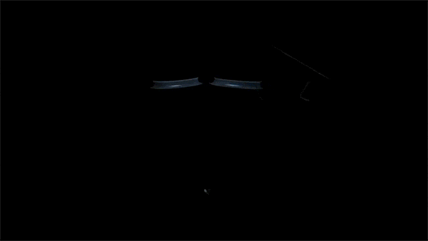dzzYLXY.gif