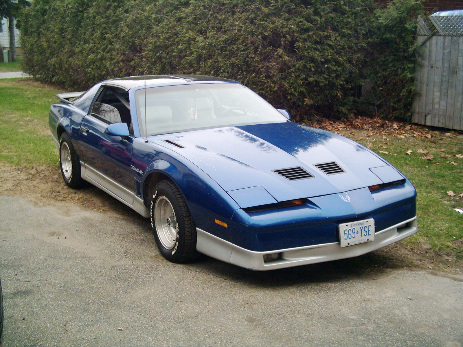 1986_pontiac_trans_am-pic-12355.jpeg