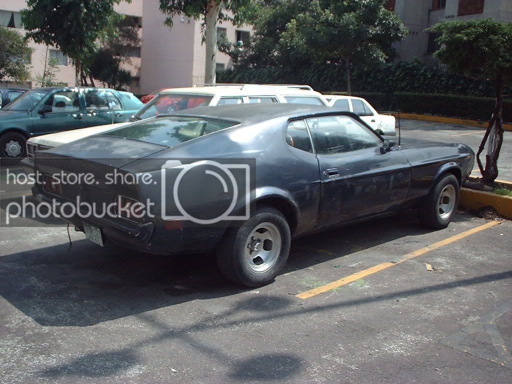 stang019.jpg