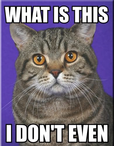 78559-i_dont_even_cat.jpg