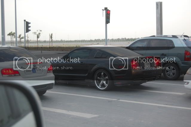 DSC_4294.jpg